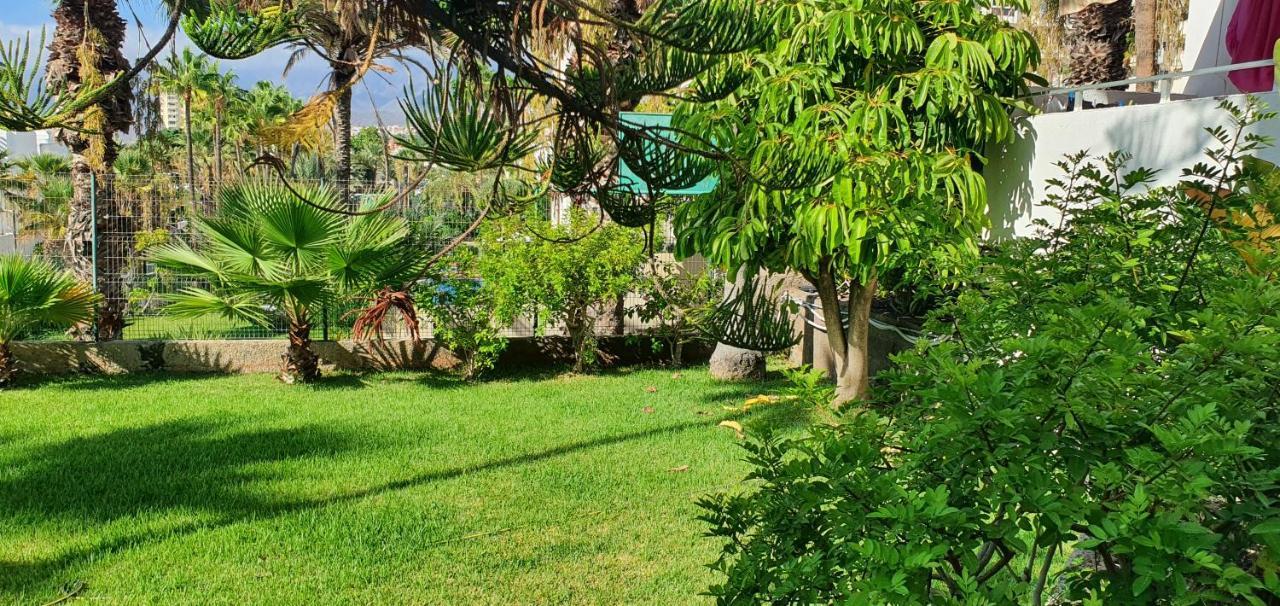 Adults Only Sunny Quiet Apartment In Center Of Las Americas Arona  Exterior photo